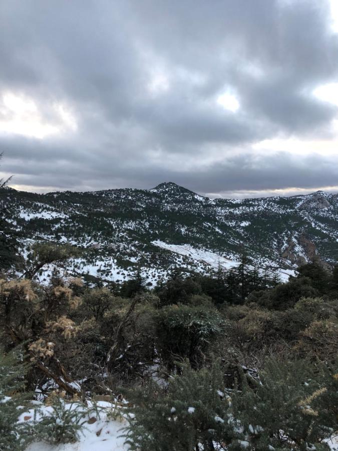 Puerto Marino Apart otel Al Hoceïma Dış mekan fotoğraf